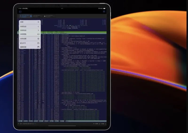 SSH Term Pro - Mac/iPhone/iPad的SSH终端工具