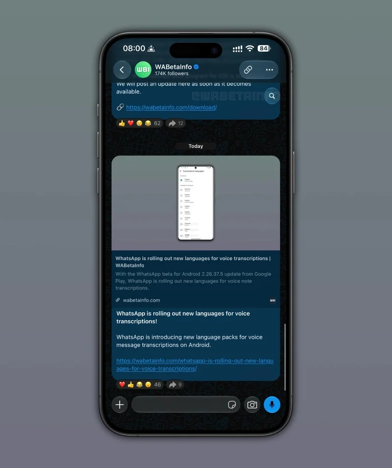 WhatsApp 聊天界面顶部的搜索按钮