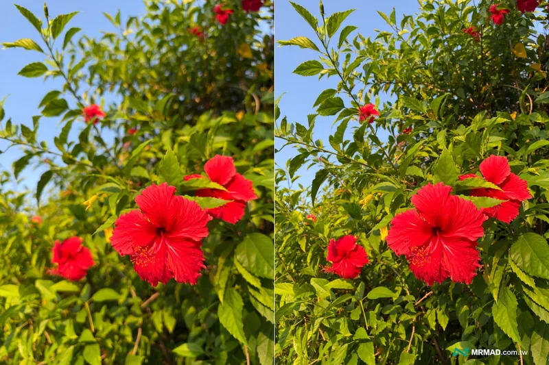 iPhone 18 Pro 主摄 F1.48 与 F4.0 光圈的实拍对比