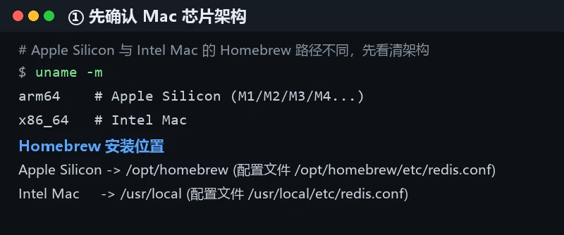 确认 Mac 芯片架构:Apple Silicon 用 /opt/homebrew,Intel 用 /usr/local