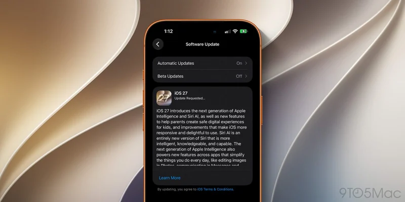 iPhone 上的软件更新界面