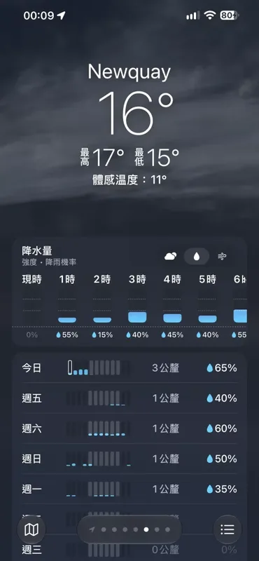 天气 App 风势视图截图