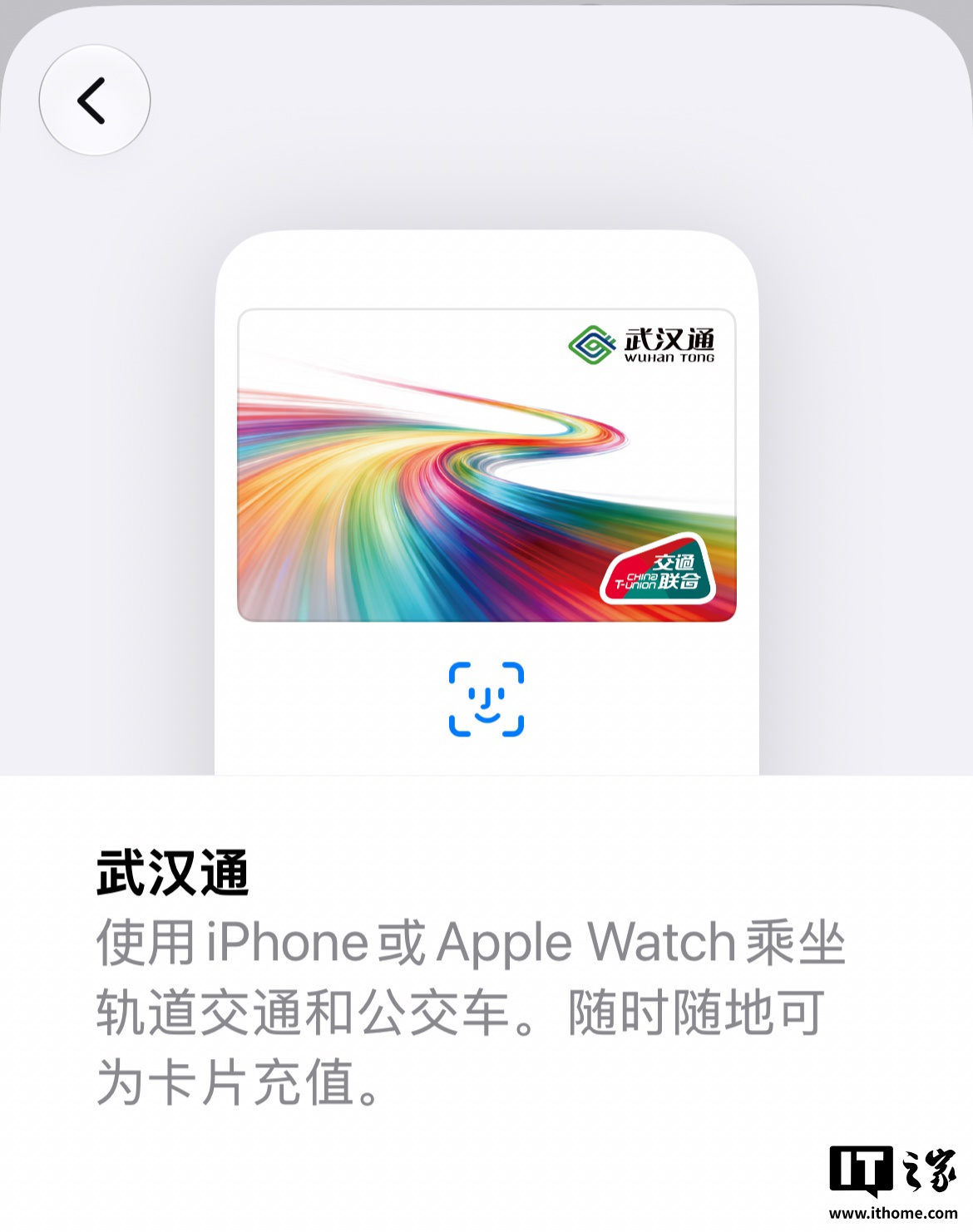 武汉通在 Apple Pay 中的卡片界面截图,显示卡面与余额信息