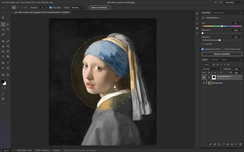 PhotoCraft 界面截图:画布显示《戴珍珠耳环的少女》,椭圆选区以虚线标出,右侧色相饱和度面板饱和度降至负 100%